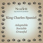 King Charles Spaniel Silver Charm, thumbnail 8 of 9