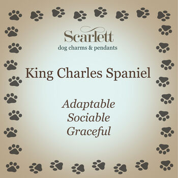 King Charles Spaniel Silver Charm, 8 of 9