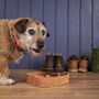 Personalised Eco Friendly Dog Food Bowl Made In Britain, thumbnail 4 of 7