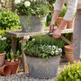 Personalised Galvanised Tub Planter, thumbnail 1 of 8