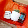 Cactus Gift Box Your Choice Of Candle And Chocolate, thumbnail 2 of 7