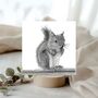 Squirrel Countryside Wildlife Greeting Card, thumbnail 1 of 7