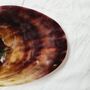Large Polished Natural Pen Shell Trinket Dish, thumbnail 3 of 6
