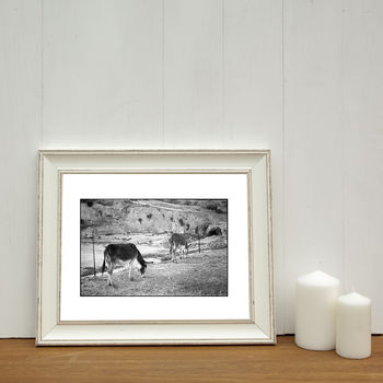Donkeys, The Merinid, Fes Photographic Art Print, 2 of 4