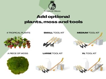 Large Diy Terrarium Kit With A Step By Step Guide, 4 of 7