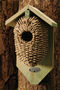 Wooden Wren Bird House Box Seagrass Hanging Nest Box, thumbnail 1 of 7