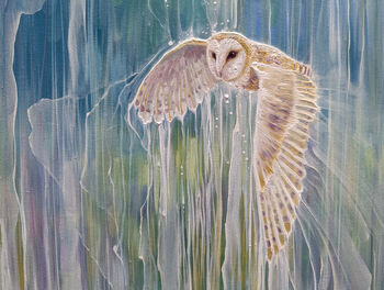 The Owls Symphony, 5 of 10