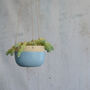 Handmade Stone Hanging Ceramic Planter, thumbnail 5 of 9