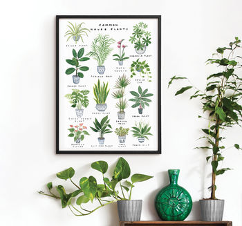 'House Plants' Art Print, 2 of 7