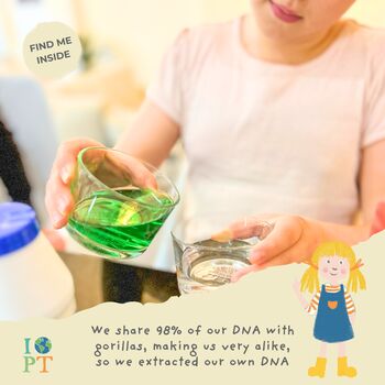 Children's Eco Activity Box: Mystical Mountain Gorillas, 7 of 12
