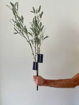 Artificial Green Mistletoe Spray, 5 of 6