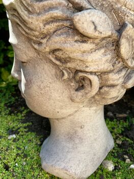 25cm Stone Ladies Head Bust Planter – Heavy Roman Style, 5 of 7