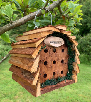 Busy Bee Hotel And Lucky Ladybird House Set, 8 of 8