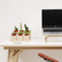 F.S.C Birch Ply Home Office Desk, thumbnail 4 of 11