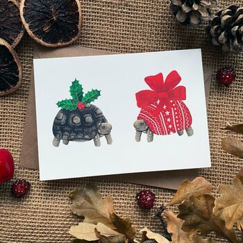 Christmas Tortoise Christmas Cards, 9 of 11