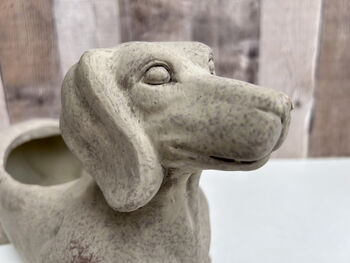 Grey Dachshund Planter Sausage Dog Flower Pot Home Decor, 8 of 11