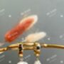 Large Pearl Hoop Earrings, thumbnail 3 of 4