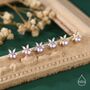 Sterling Silver Freshwater Pearl With Marquise Cz Stud Earrings, thumbnail 7 of 12