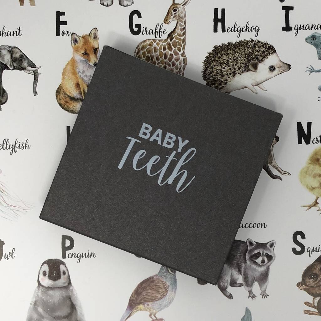 Baby Teeth Keepsake Box By Illustries