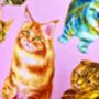 Crazy Cat Lady Designer Cats Lampshade, thumbnail 9 of 10