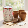 Personalised June Grow Your Own Flower Gift, thumbnail 4 of 4