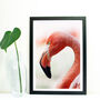 Minimal Flamingo Photography Print, Flamingo Wall Art, thumbnail 1 of 5
