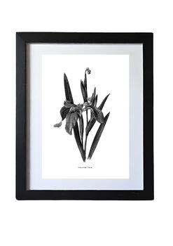 Eight Framed Vintage Flower Art Prints, 6 of 11