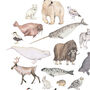 Arctic Animals Watercolour Print, thumbnail 2 of 4