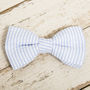 The Putney Blue Striped Dog Collar Bow Tie And Lead Set, thumbnail 5 of 6