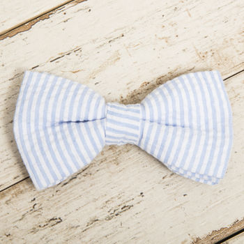 The Putney Blue Striped Dog Collar Bow Tie And Lead Set, 5 of 6