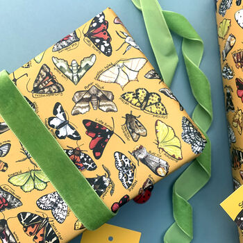 Moth Species Wrapping Paper Set, 10 of 11