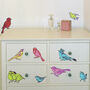 Vintage Birds Wall Stickers, thumbnail 1 of 2