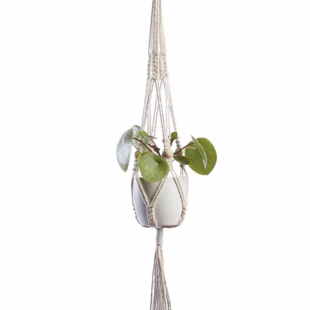 Mini Macramé Plant Hanger By Heather Orr