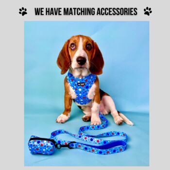 Blue Polka Dot Dog Bow Tie, 3 of 3