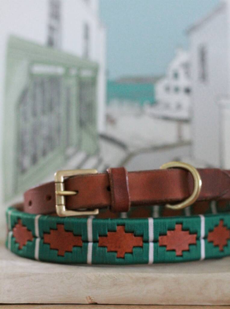 Argentinian polo dog collar Clearance