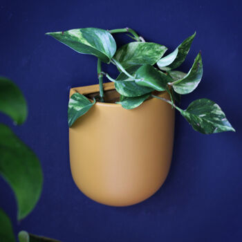 Ceramic Yellow Wall Planter, 3 of 4