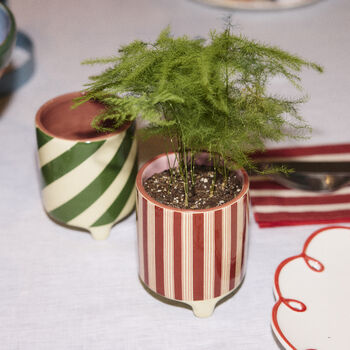 Candy Cane Striped Mini Planter, 4 of 7