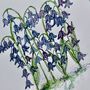 Bluebell Watercolour A4 Art Print, thumbnail 3 of 5