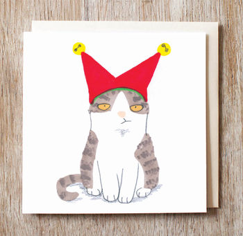 Christmas Cards Packs Cats In Hats Assortment Sets, 8 of 12