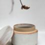 Handmade Lidded Ceramic Pot In An Almond Glaze, thumbnail 2 of 3