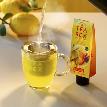 Tea Rex Reusable Eco Infuser / Strainer, 6 of 7