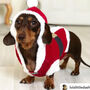 Christmas Santa Miniature Dachshund Jumper, thumbnail 1 of 3