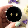 Gold Plated Sun Earrings In A Gift Tin, thumbnail 1 of 9