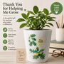 'Oak Tree' Personalised Plant Pot Gift For Teacher, thumbnail 2 of 3