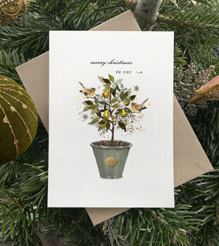 Pear Tree Christmas Card Pack, 4 of 5