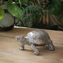 Silver Tortoise Ornament, thumbnail 3 of 4