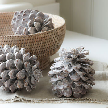 Large White Washed Pinecone, 2 of 4