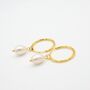 Pearl Hoops In Gold And Sterling Silver, thumbnail 7 of 9