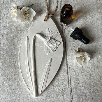 Daffodil Gift Botanical Home Air Freshener, 4 of 5