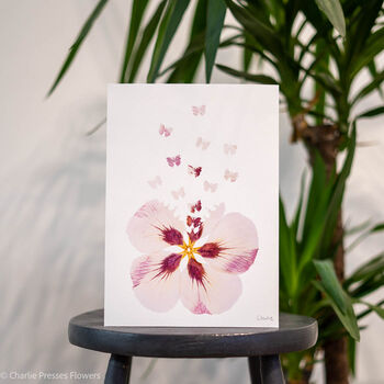 Pink Hibiscus With Butterflies A4 Giclee Print, 2 of 3